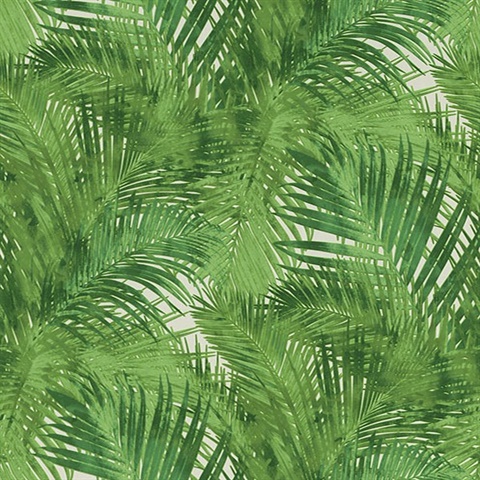 Cora Green Palms