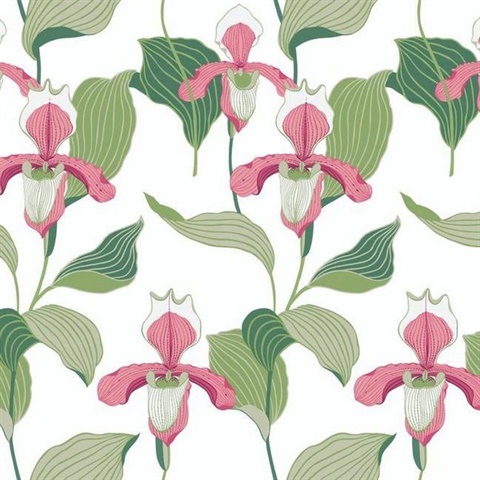 Coral & Green Lady Slipper Floral Wallpaper