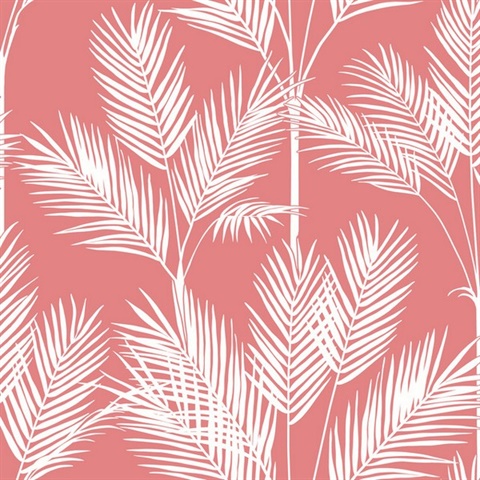 Coral King Palm Leaf Silhouette Wallpaper