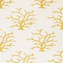 Coral Maize