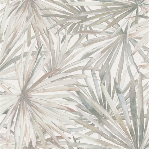Corifa Cream Palm Leaf Wallpaper