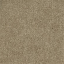 Coronado Cimmeria Commercial Wallpaper