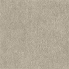 Coronado Luna Commercial Wallpaper