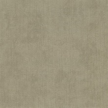 Coronado Morning Dove Commercial Wallpaper