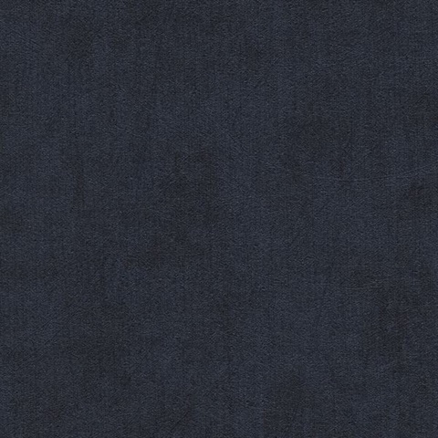 Coronado Poseidon Commercial Wallpaper