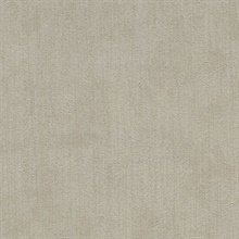 Coronado Reflection Commercial Wallpaper