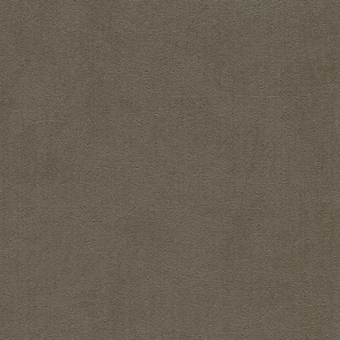 Coronado Statue Commercial Wallpaper