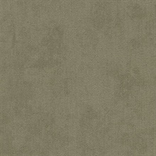 Coronado Willow Tree Commercial Wallpaper