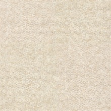 Cosmic Champagne Geometric Wallpaper