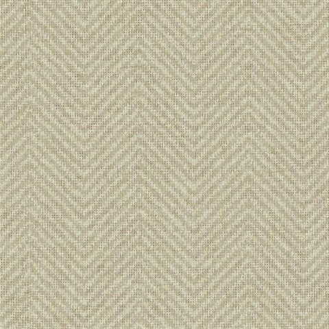 Cozy Chevron Beige