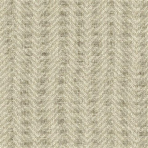 Cozy Chevron Beige