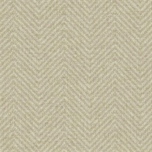 Cozy Chevron Beige