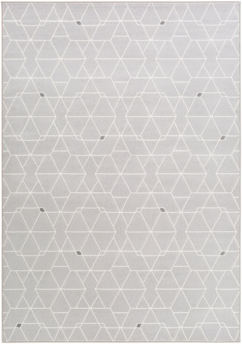 CPO3713 Contempo Area Rug