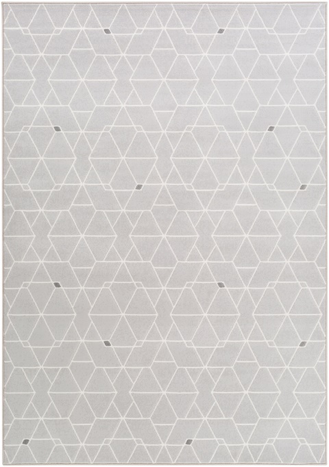 CPO3713 Contempo Area Rug