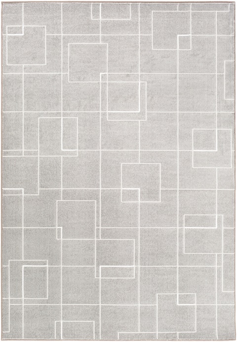 CPO3717 Contempo Area Rug