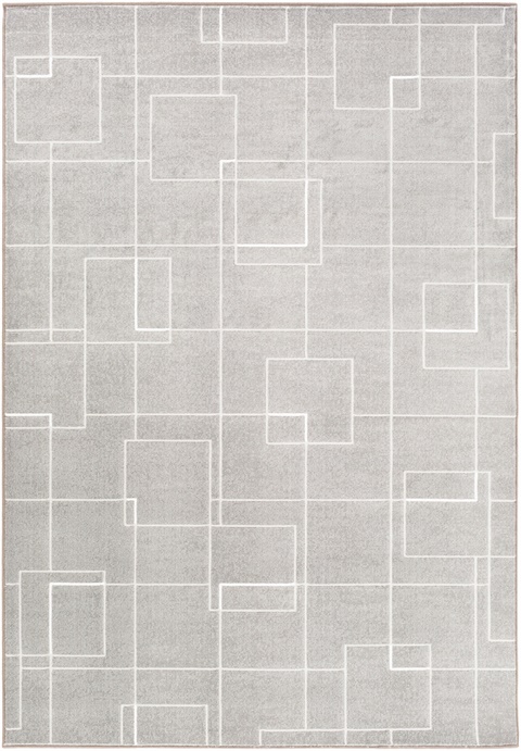 CPO3717 Contempo Area Rug