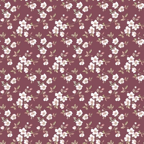 Cranberry Anenome Floral Mini Wallpaper