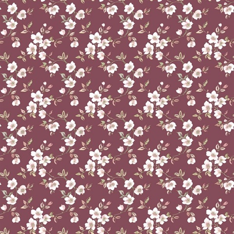 Cranberry Anenome Floral Mini Wallpaper