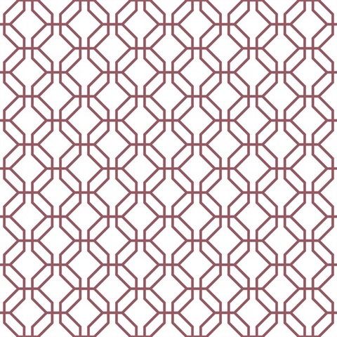 Cranberry Trellis Geometric  Positive Wallpaper