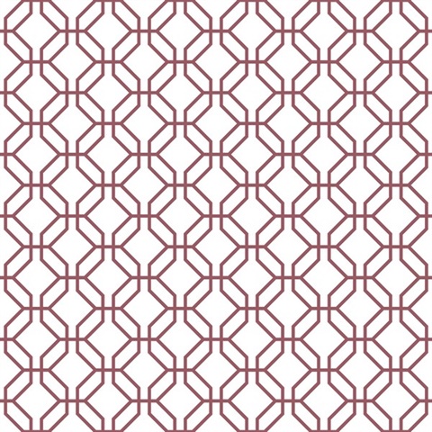 Cranberry Trellis Geometric  Positive Wallpaper