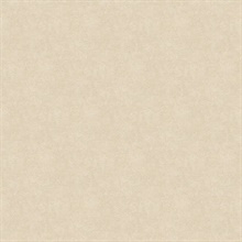 Cream Allen Texture