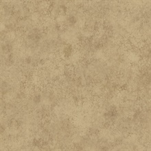 Cream Fusion Texture