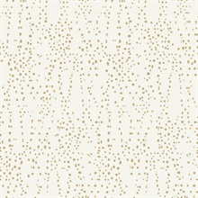 Cream & Gold Star Struck Metallic Dots Wallpaper