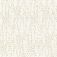 Cream &amp; Gold Star Struck Metallic Dots Wallpaper