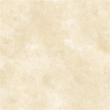 Cream Jenney Texture