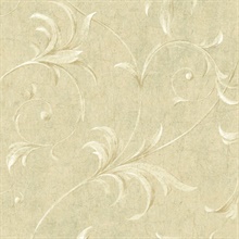 Cream Ogee Acanthus Scroll