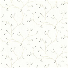 Cream Rosehip Cream Trails Wallpaper