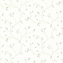 Cream Rosehip Cream Trails Wallpaper