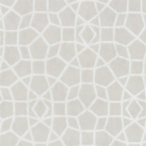 Cream Sculptural Web Trellis Wallpaper
