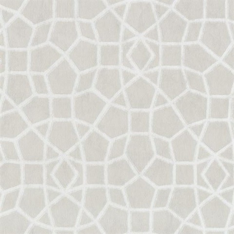 Cream Sculptural Web Trellis Wallpaper