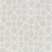 Cream Sculptural Web Trellis Wallpaper