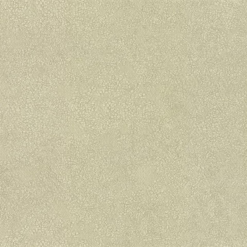 Cream Weathered Texture Faux Wallpaper