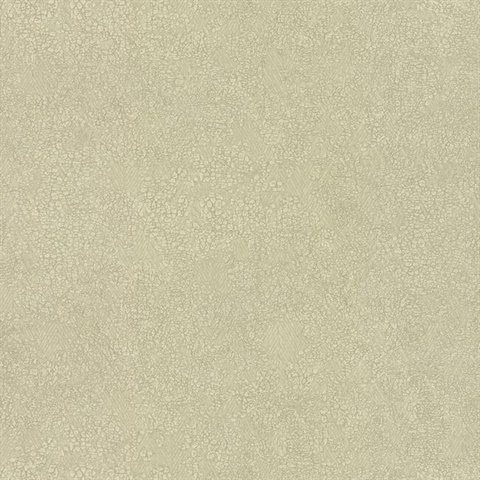 Cream Weathered Texture Faux Wallpaper