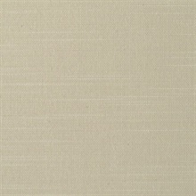 Crete Plaster Textile Wallcovering