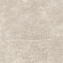 Taupe Crocodile Skin Textured Wallpaper