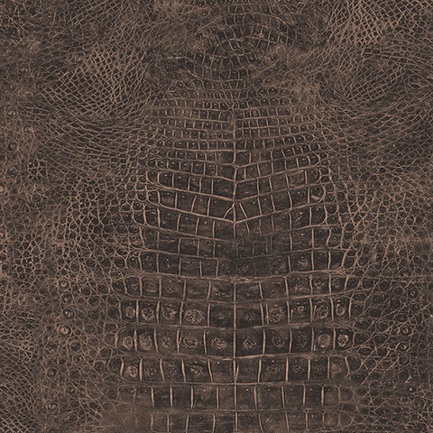 Dark Brown & Copper Crocodile Skin Textured Wallpaper