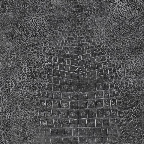 Crocodile skin cheap