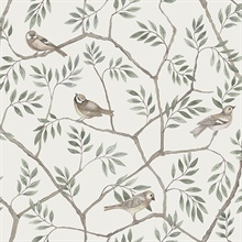 Crossbill Green Bird On Branches Wallpaper