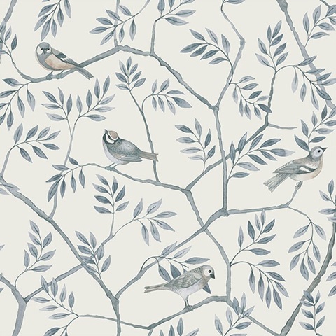 Crossbill Light Blue Bird On Branches Wallpaper