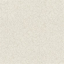 Crushed Capiz Dove Textured Wallpaper