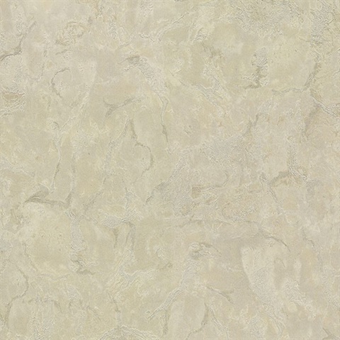 Crux Light Grey Marble Wallpaper