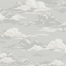 Cumulus Grey Clouds Wallpaper