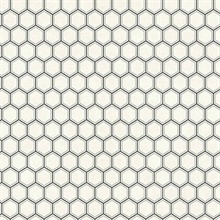 Curie Geo