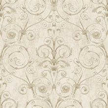 Curlicue Beige Scroll