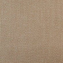 Currents Umber
