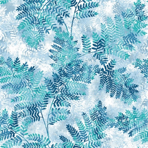 Cyathea Blue Fern